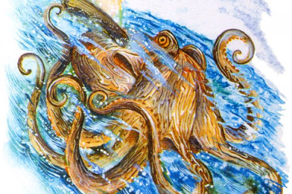 Kraken ссылка сайт kraken clear com