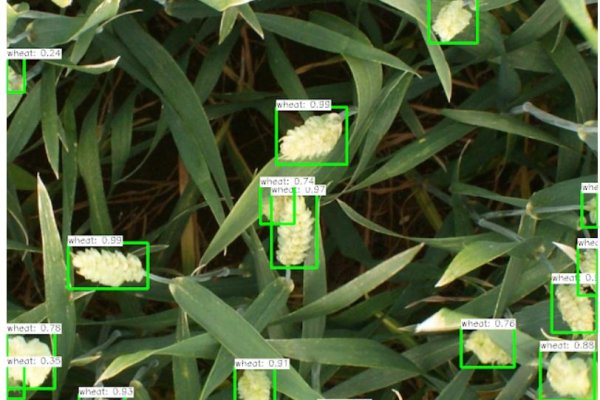 Kraken зеркало рабочее market