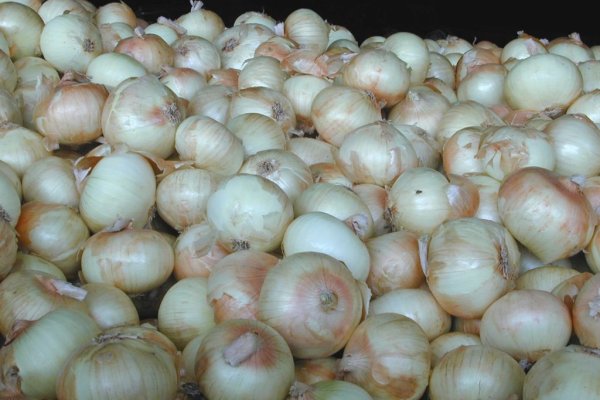 Ссылка на магазин кракен