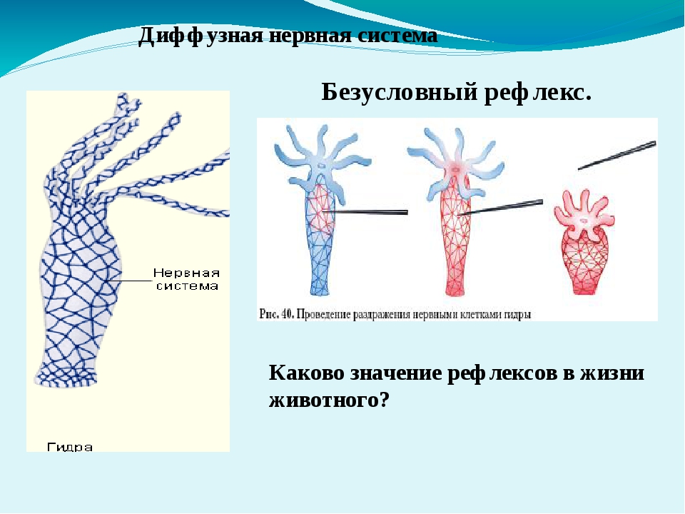 Кракен официальный сайт